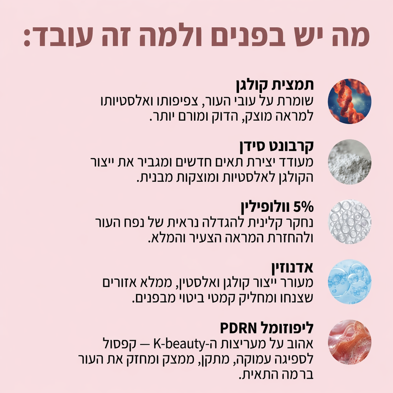 YUNAH™ זוהרה